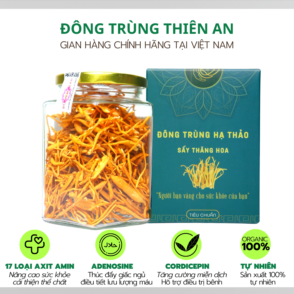 Đông trùng hạ thảo sấy thăng hoa giúp tăng cường sức khỏe
