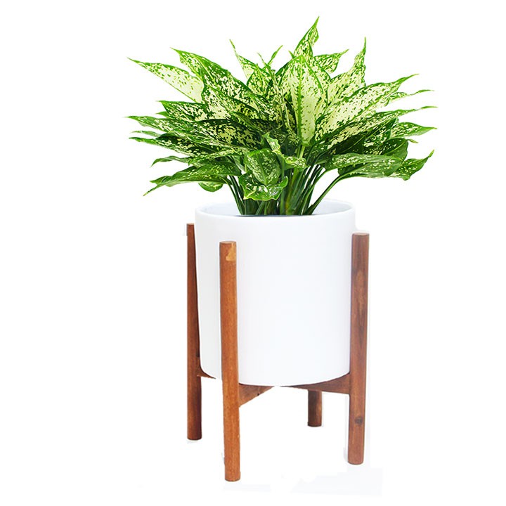 Giá đỡ chậu cây 1 tầng chân Tròn bằng Gỗ R32xC42cm