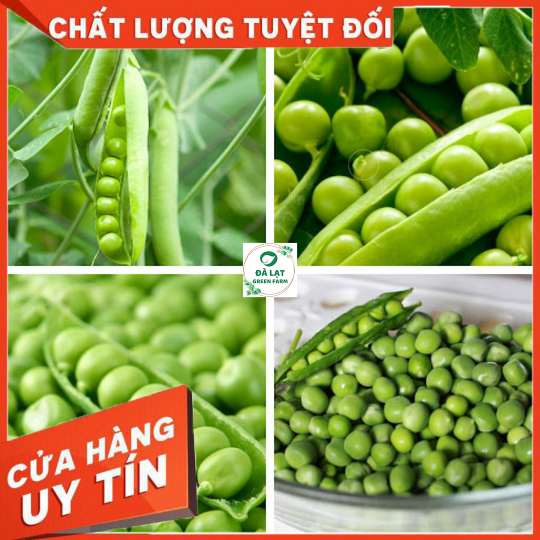 10gr - hạt giống đậu hà lan xanh ăn hạt