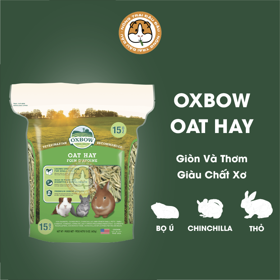 Cỏ oxbow yến mạch oat hay cho thỏ, bọ ú, chinchilla 425g