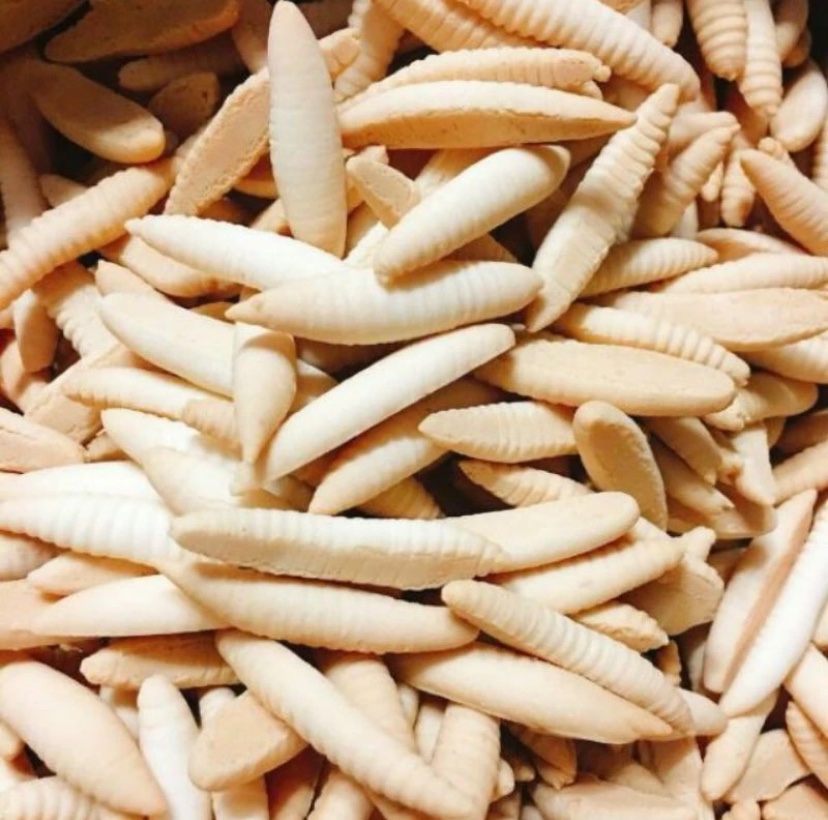 Bánh con sùng trắng - túi 500g - Bánh con đuông / con sâu