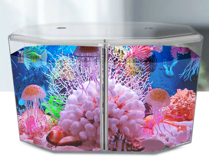 [Hoàn Tiền 10%] Bể Cá Betta Đôi Bằng Mica Siêu Trong Để Bàn Làm Việc