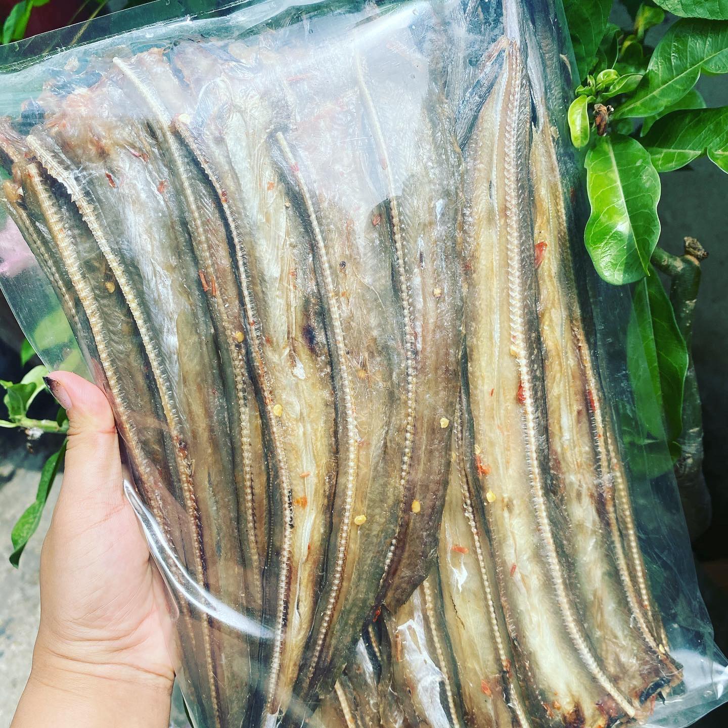 Cá sùn sịn khô tẩm ướp - Takifood