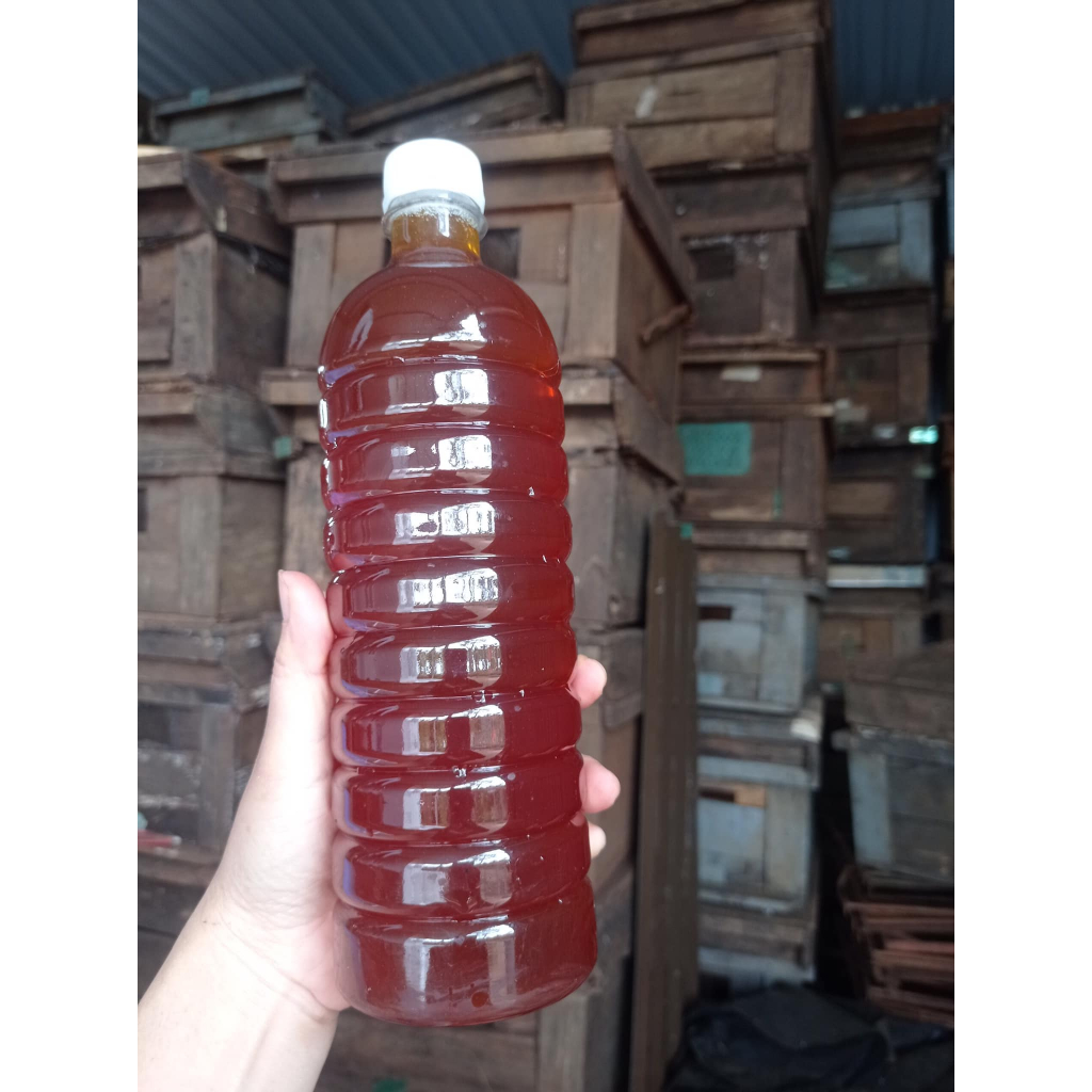 Mật ong rừng hoa cà phê Daklak hàng chuẩn 100%, Mật ong nguyên chất hoa cà phê nhà mình nuôi lấy mật Green Farm