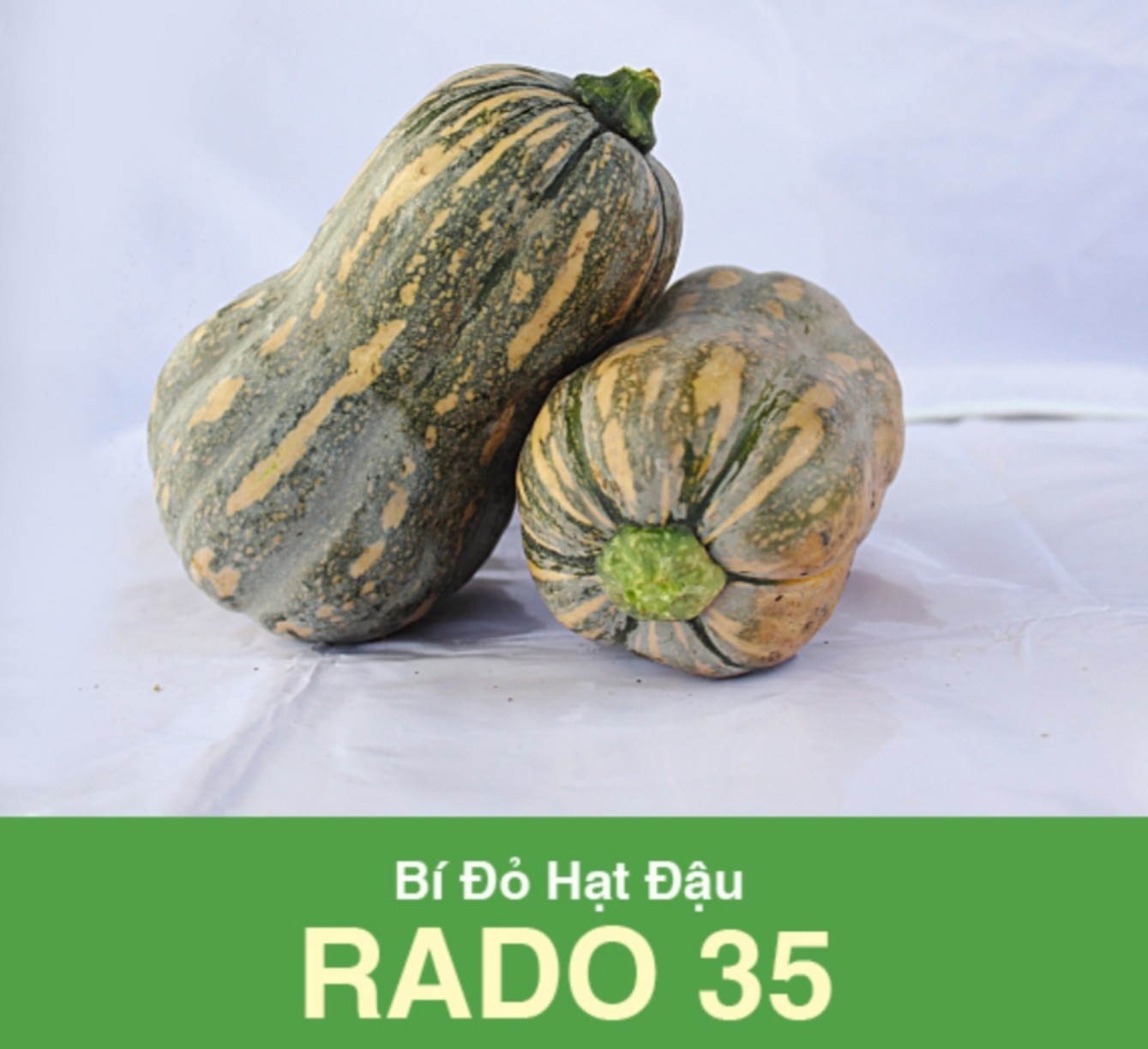 Hạt giống bí đỏ hạt đậu rado 35 - nảy mầm chuẩn- siêu trái
