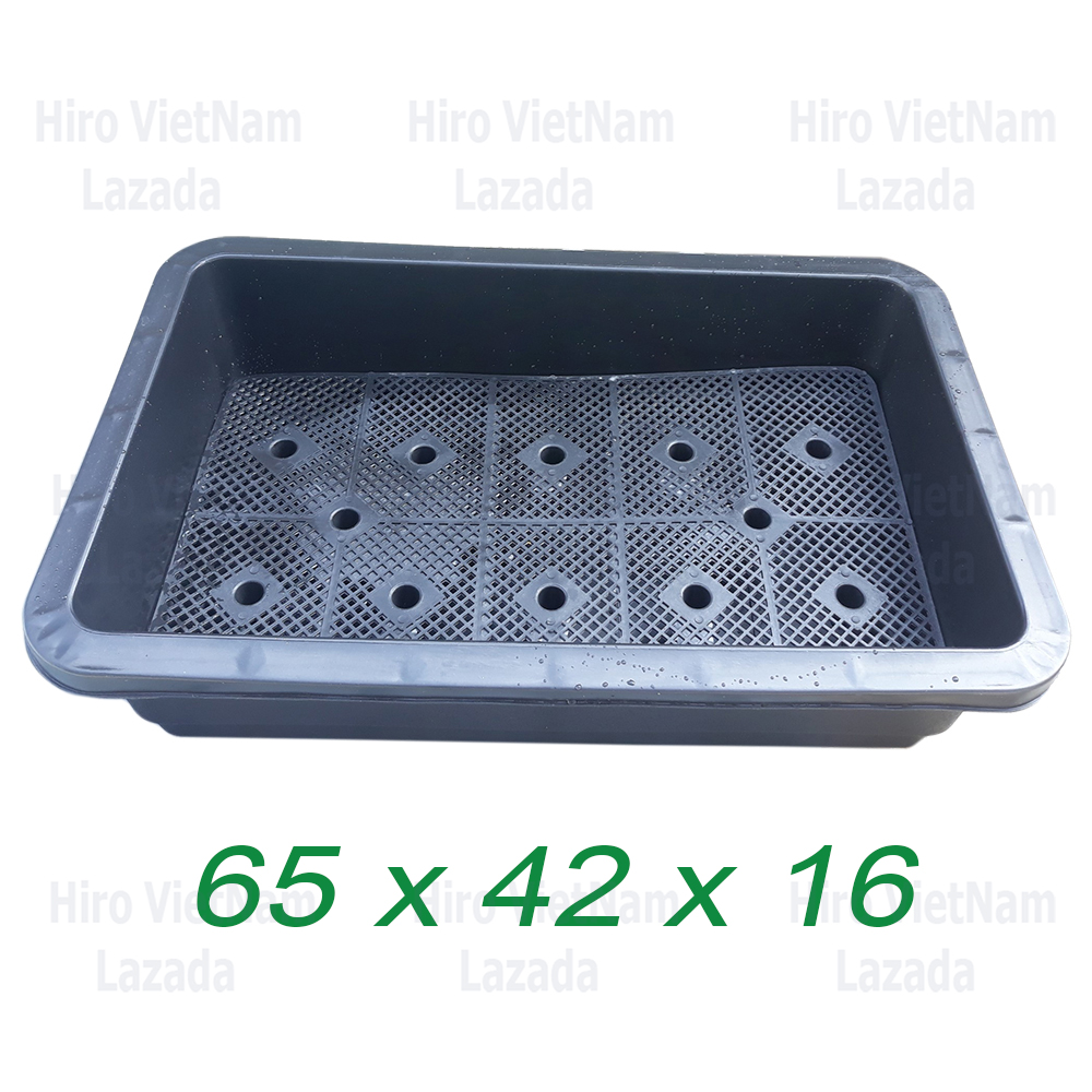 Khay nhựa trồng rau sạch tại nhà, kích thước 65x42x16