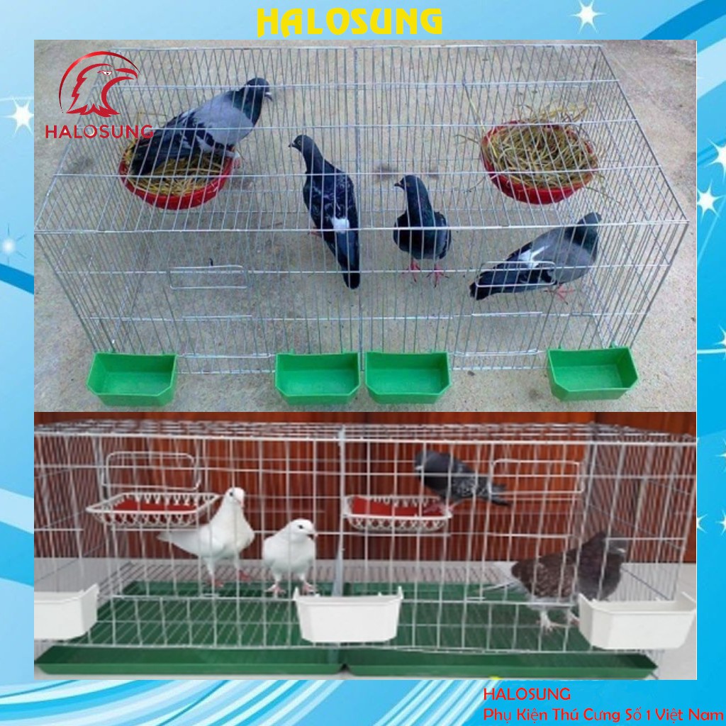 Mua Lồng nuôi chim Bồ câu ( 50cm x 50 cm x 47 cm ) Đầy đủ phụ kiện tại  Shophongphat | Tiki