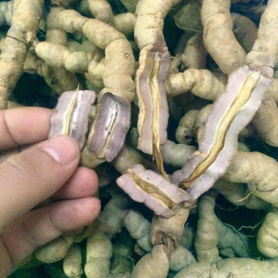 01 Kg ba kích tím tươi Nguyên củ loại 1 Quảng Ninh