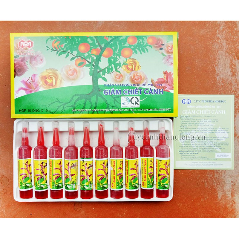 Ống dung dịch kích ra rễ cực mạnh cho giâm chiết cành mđ-901