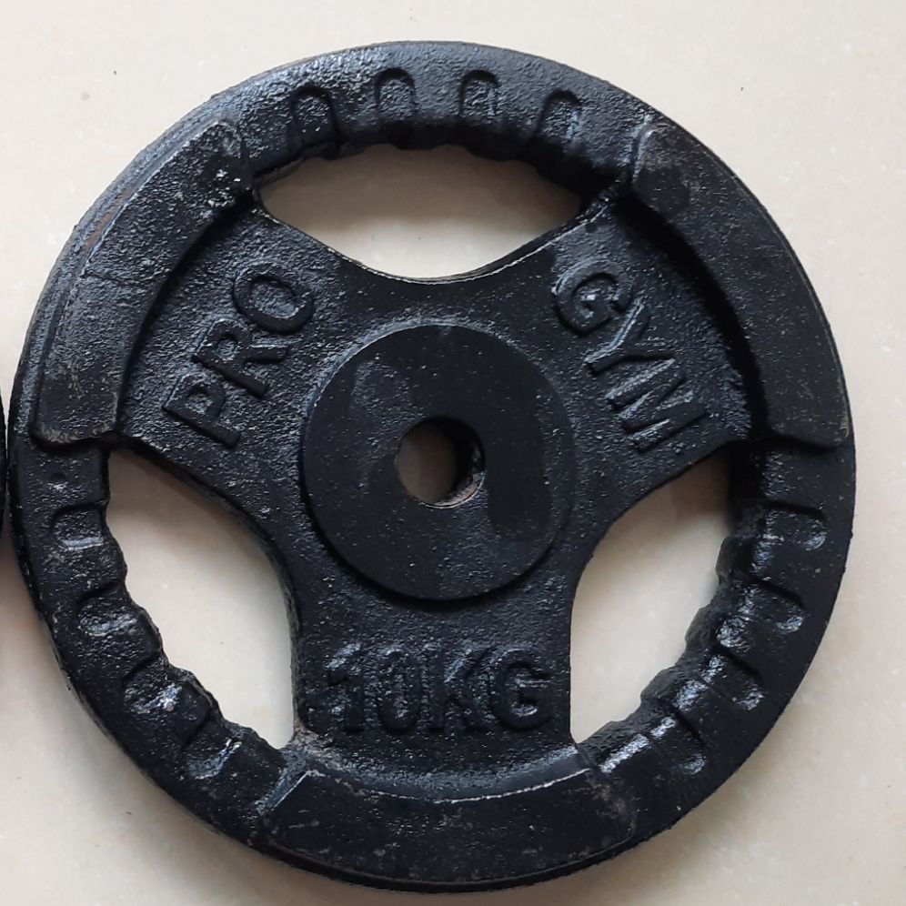 Tạ Miếng Gang 10Kg Giá 1 Cặp