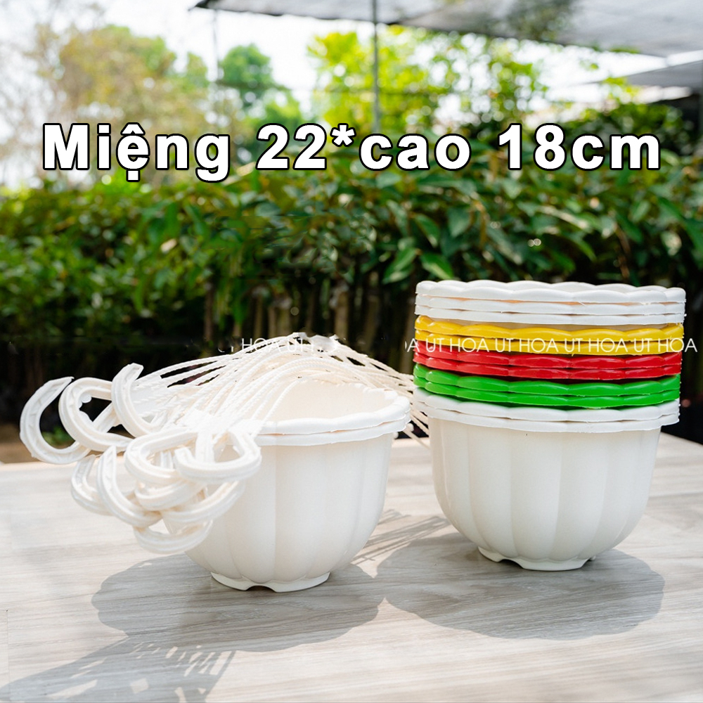 50 CHẬU nhựa treo bí lớn,mẫu sang trọng,cứng dày đường kính 22x18cm-77500