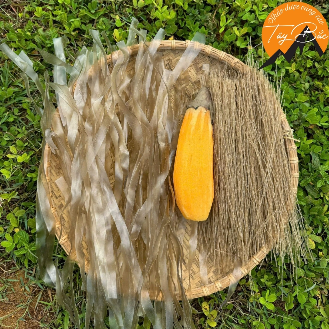 Đặc sản miến dong khoai sâm đất (1kg). Miến dong thái tay sợi to, sợi nhỏ từ củ dong Tây Bắc, khoai sâm đất Sìn Hồ
