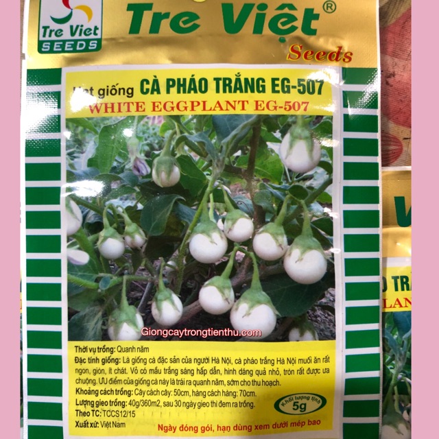Hạt giống cà pháo trắng giòn