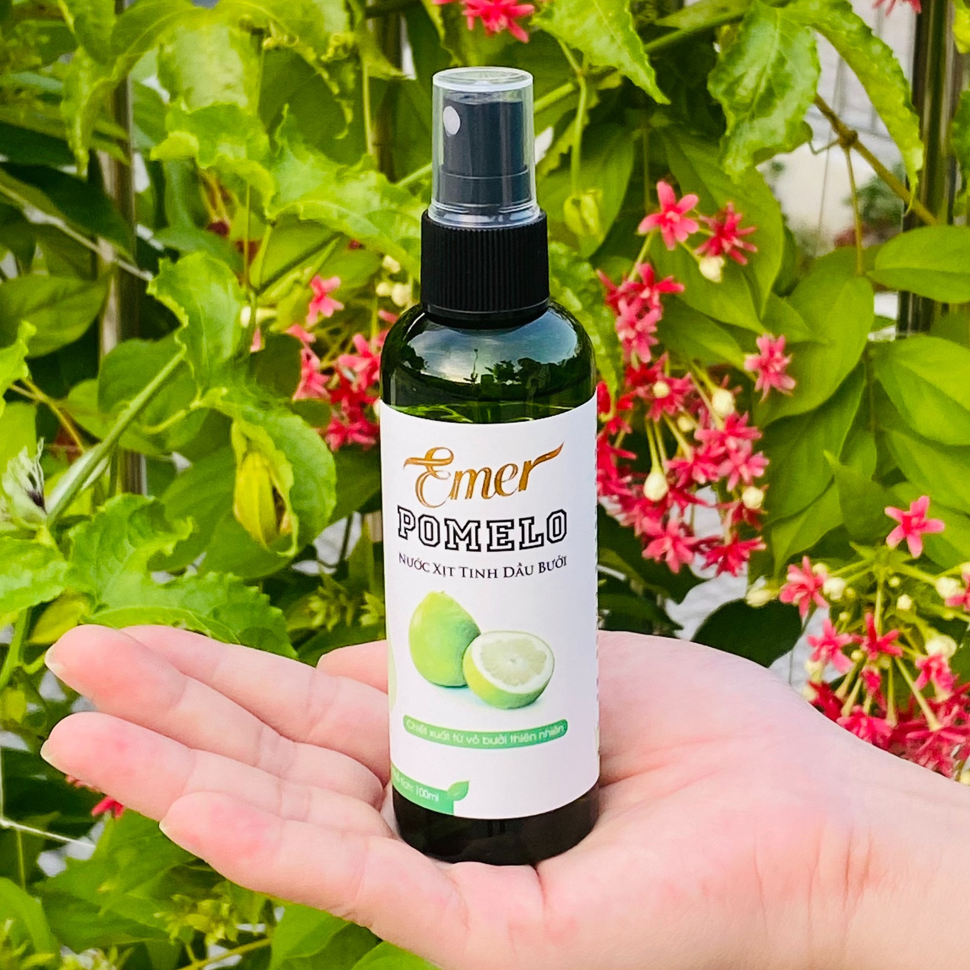 Chai xịt tinh dầu bưởi kích mọc tóc giảm rụng tóc Pomelo Emer 100ml chăm sóc tóc toàn diện