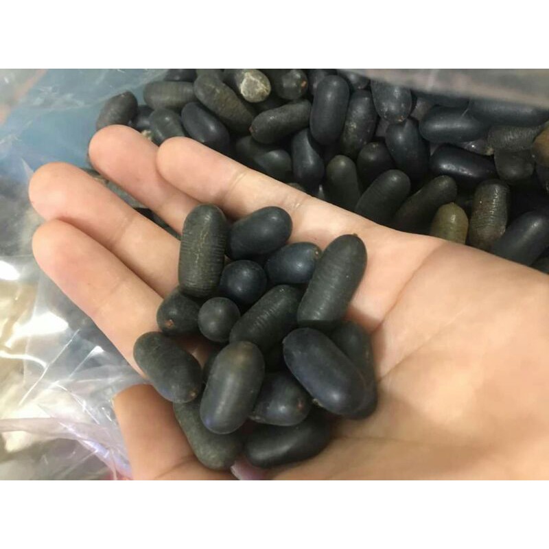 Hạt lạc rừng