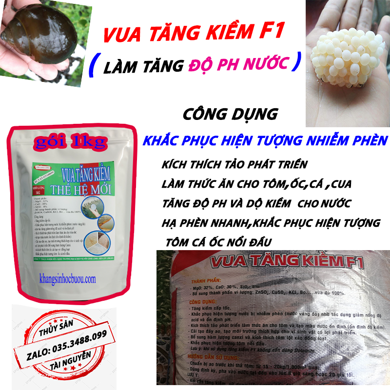 Vua Tăng Kiềm  KHi Nguồn Nước Kiềm Thấp Ảnh Hưởng Đến ốc Cá Lươn  Ếch Chậm Phát Triển Nuôi Quài Không Lớn  ỐC cá ếch lươn Dễ  Bệnh Cơ Quan Hô hấp Dễ Bị Viêm Nhiễm Khó Thở HAY nổi đầu là do Thiếu Kiềm