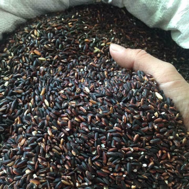 Gạo nếp cẩm mềm ngon 1 kg