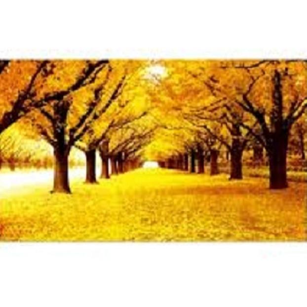 tranh thêu chữ thập RỪNG LÁ VÀNG KV3303(105*63cm)