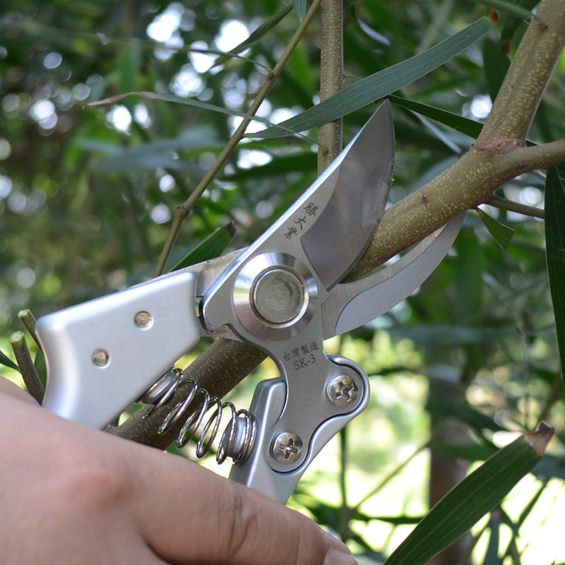 Kéo cắt cành cây, kéo tỉa cây cảnh cây ăn quả thép Sk5 siêu Sắc -siêu bền - Kéo Cắt Cành Nhật Bản SK5 - Cắt Sắc Vĩnh Viễn