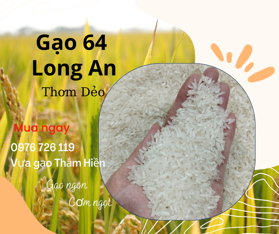 5KG Gạo 64 Long An - Gạo Thơm Dẻo Vừa - Gạo Ngon Mềm Cơm 5KG - Bena Organic