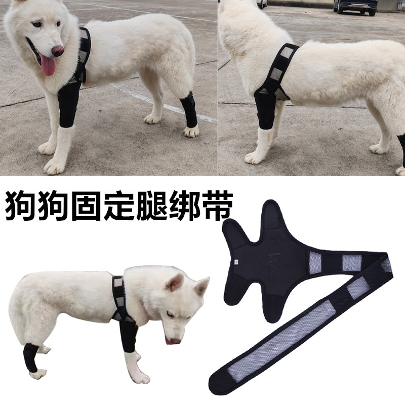 Dog Leg Fracture ProtectorFront and Rear Leg Brace Support Band Dog Knee Pad Large Dog Leg Injury Protection Sleeve
