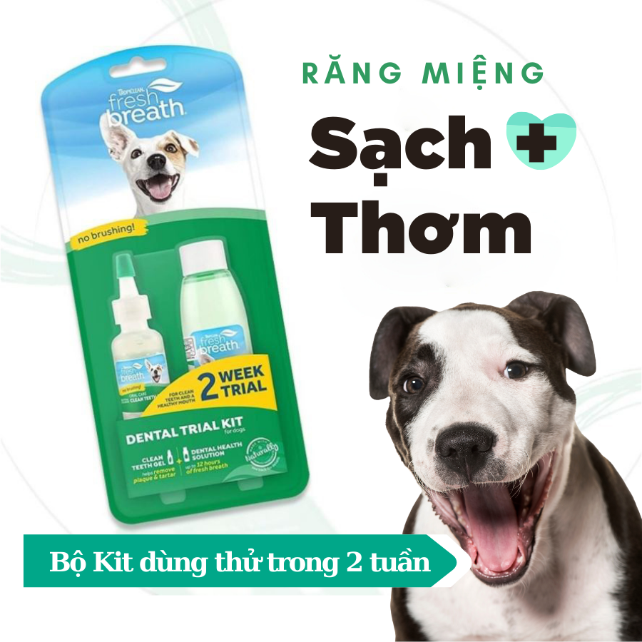 Bộ chăm sóc răng miệng cho chó mèo Tropiclean Fresh Breath