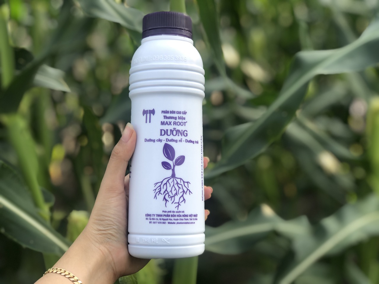 Tặng phân bón max root dưỡng chai 500ml