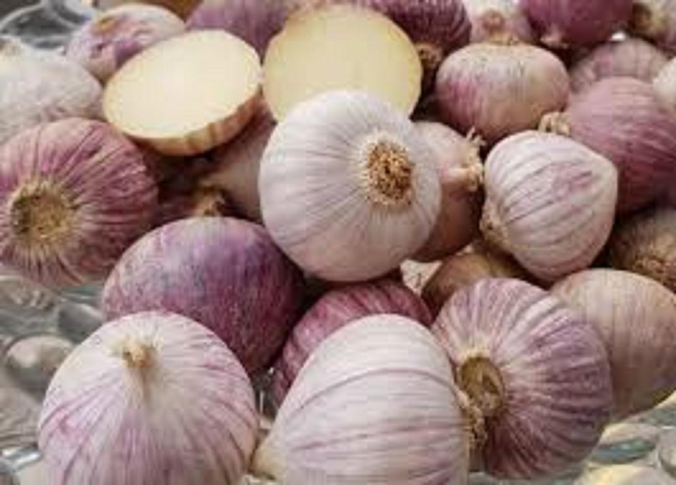 1kg tỏi cô đơn