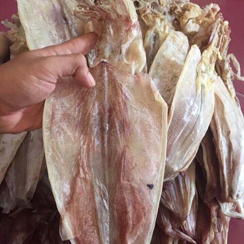 Khô mực câu -đặc sản đà nẵng-mực ngon ngọt, luôn cập nhật date mới nhất, gói 250gr/