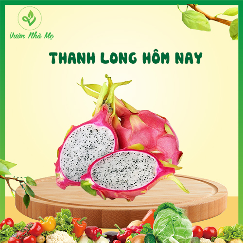 [Giao nội thành Hà Nội] Thanh Long Vườn Nhà Mẹ - 1kg thanh long ngọt mát - Hoa quả sạch, chất lượng cao, chuẩn VietGap
