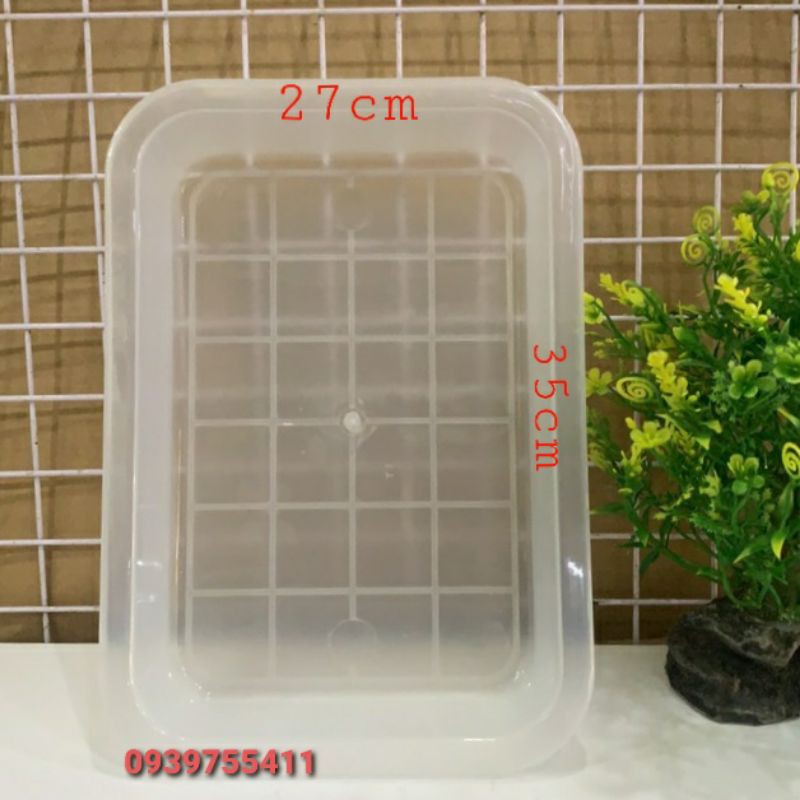 Thao tắm cho chim cảnh làm máng ăn cho chim