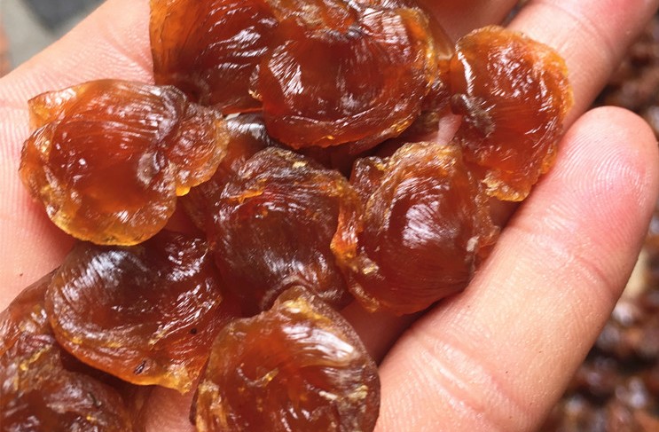 Nhãn nhục sấy khô ngon