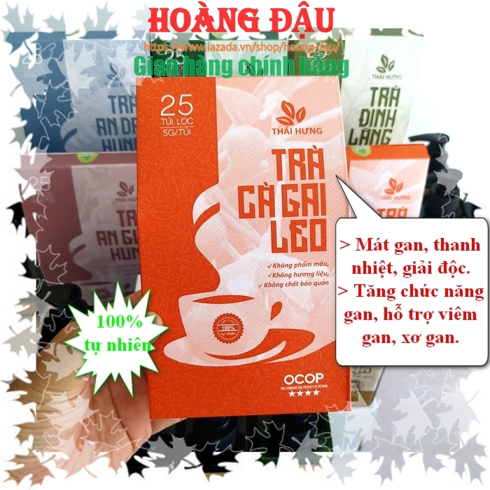 Trà cà gai leo Thái Hưng - Trà thảo dược túi lọc có nguồn gốc thực vật (25 túi x 5g)