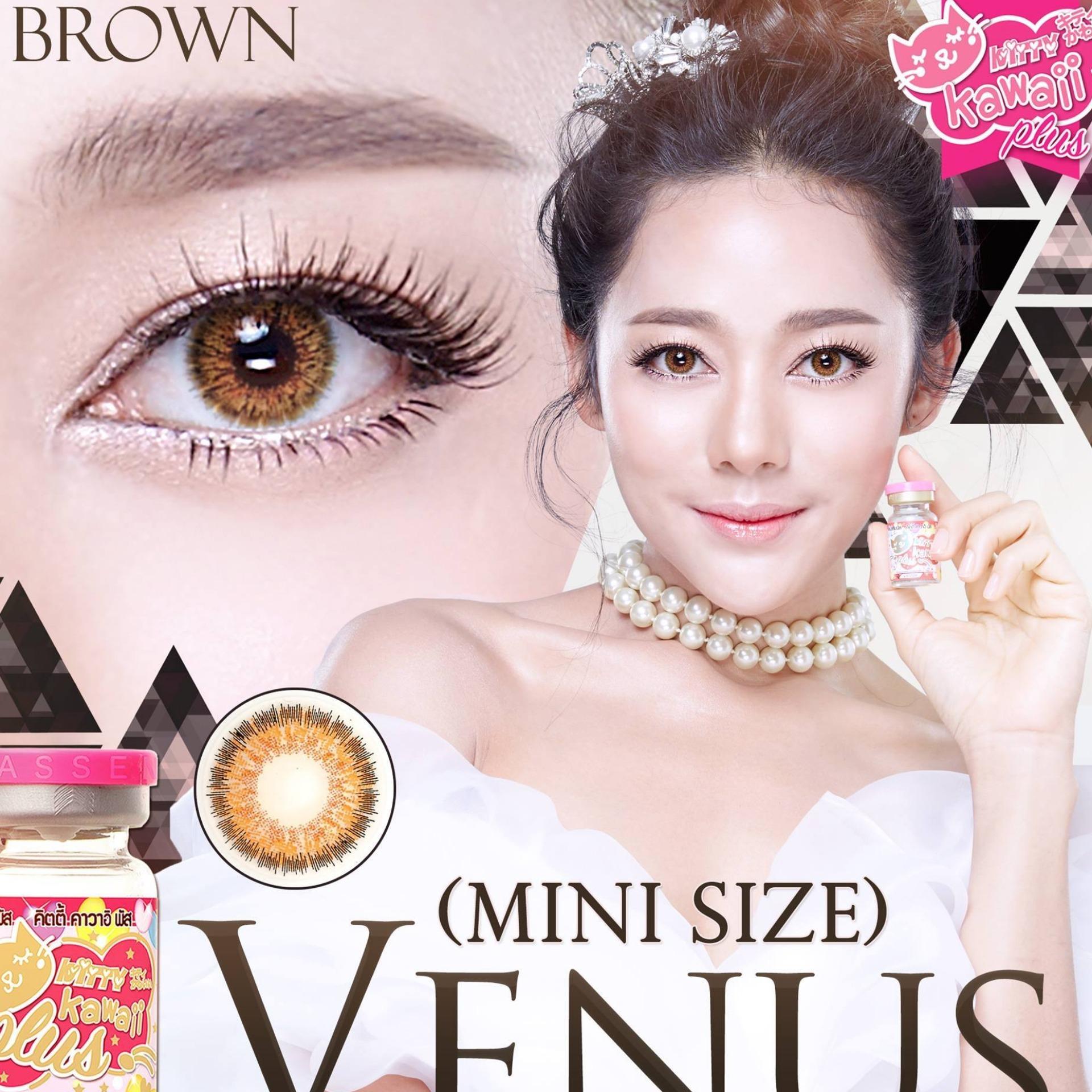 [HCM]Lens - Kính Áp Tròng Nâu Châu Âu Sử Dụng 1 Năm Tặng Kèm Khay Đựng Kiểu 26