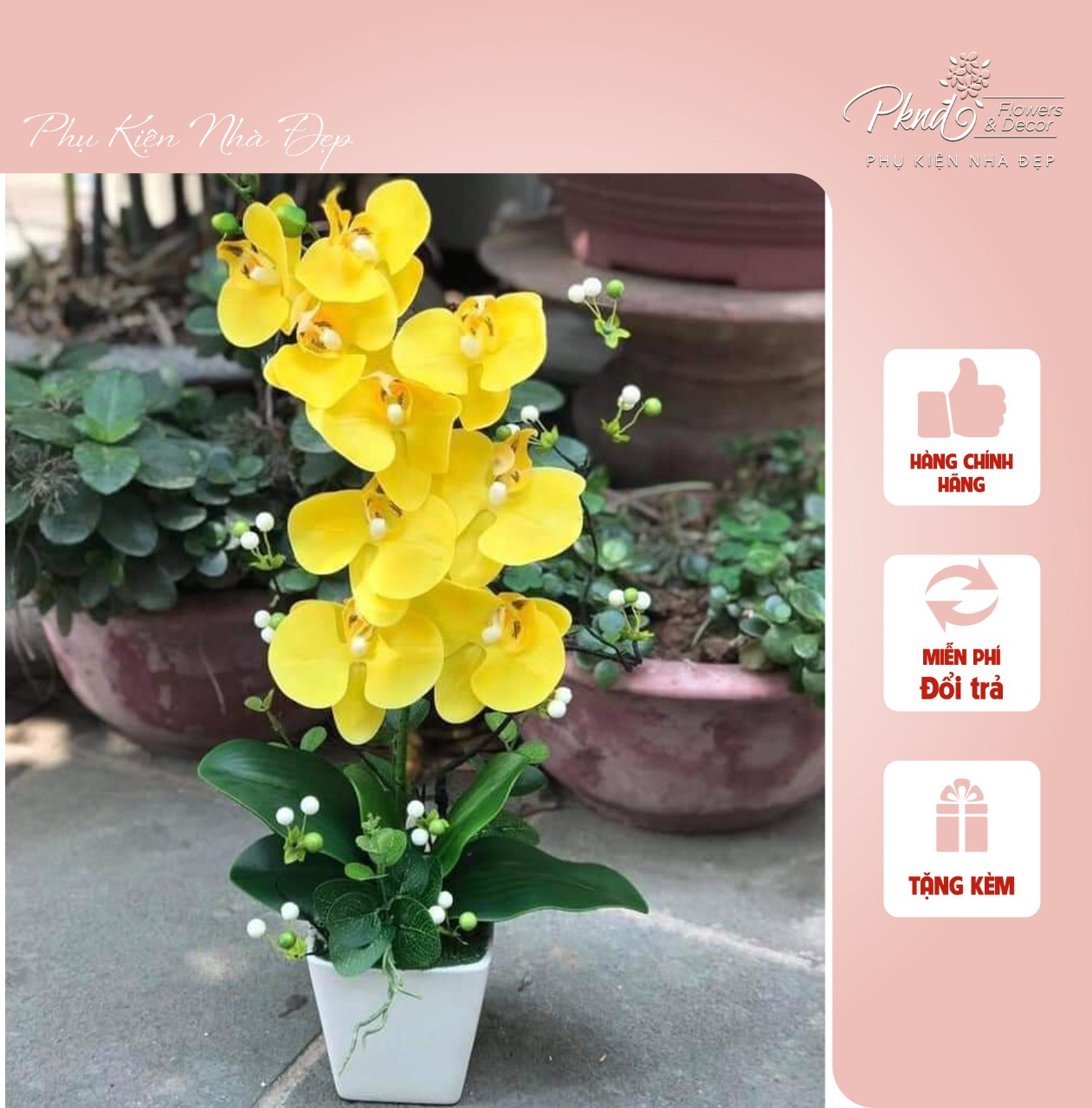 Chậu hoa giả lan hồ điệp chất cao su trang trí đẹp pknd flowers & decor