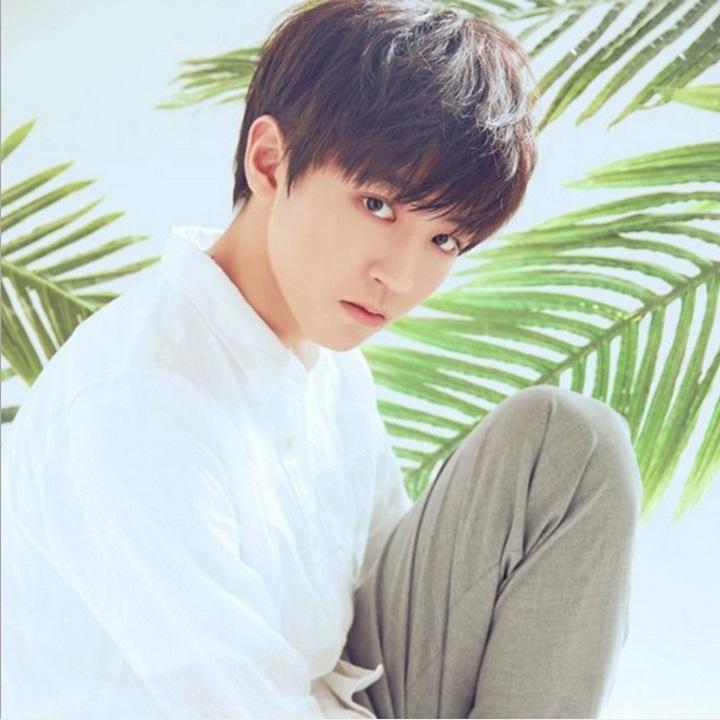 Tóc giả nam nguyên đầu,tóc giả nam cao cấp làm bằng tơ mềm mượt như tóc thật (màu nâu) + tặng kèm lưới