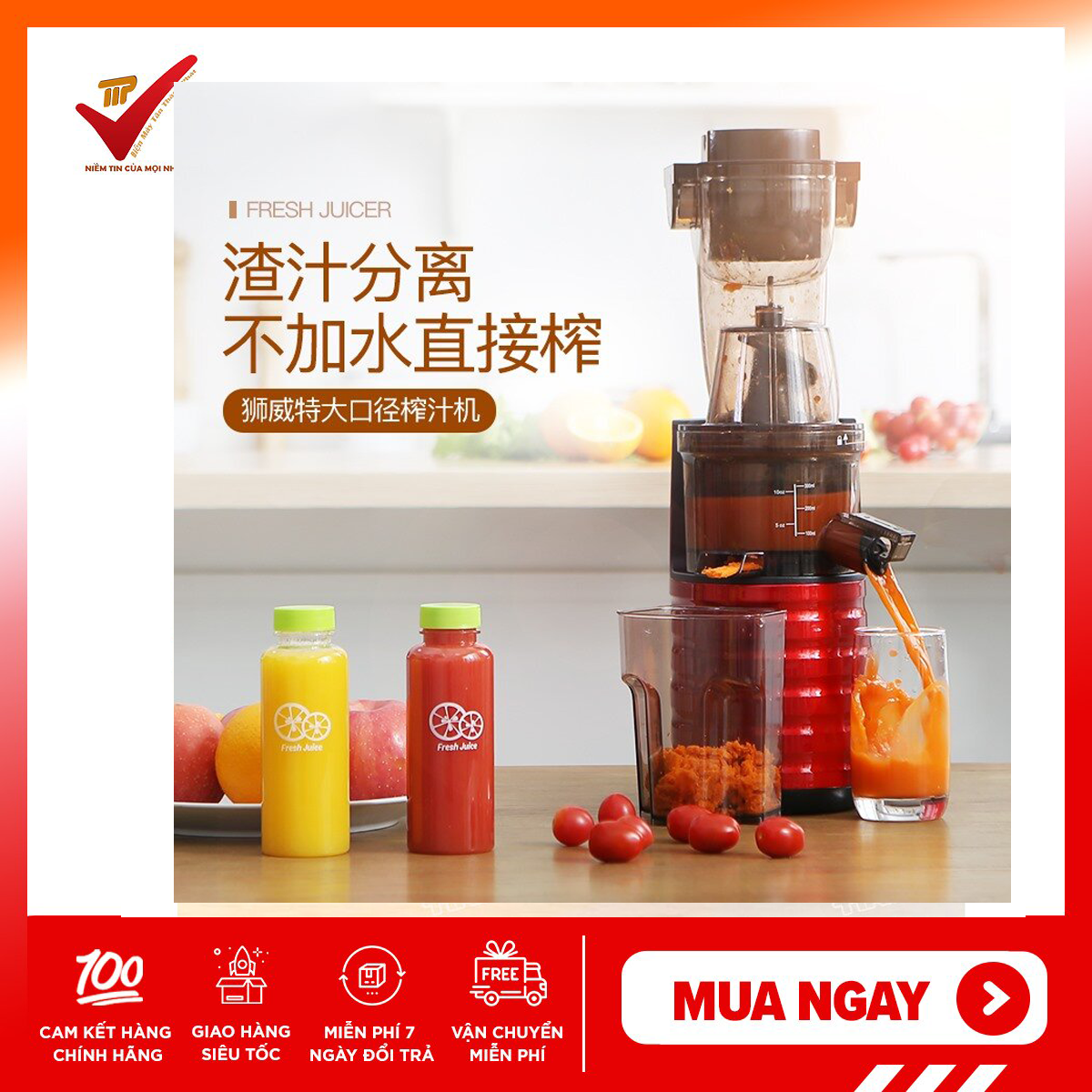 Máy ép chậm cao cấp SAVTM JE-31 dòng ép được cả quả chuyên dụng cho nhà hàng khách sạn - Bảo hành 12 tháng