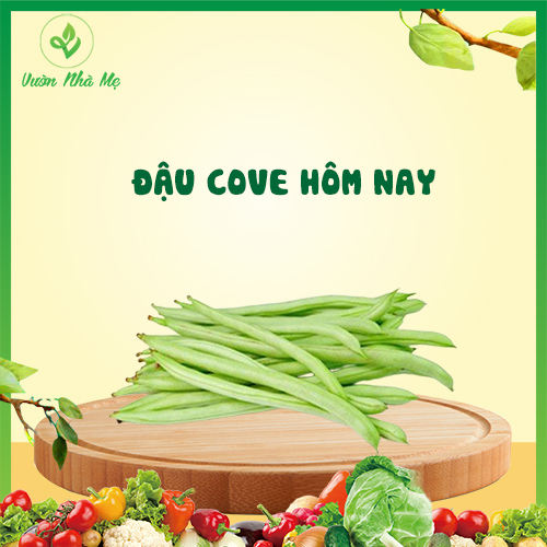 [Giao nội thành Hà Nội] Đậu cô ve Vườn Nhà Mẹ - 1kg đậu quả giàu dinh dưỡng - Thực phẩm tươi, sạch, chuẩn VietGap