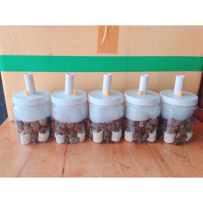 Lọc bio vi sinh tự chế