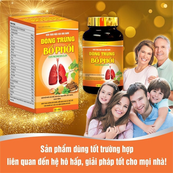 Viên Uống Đông Trùng Bổ Phổi Giúp Cầm Ho Long Đờm Giúp Bổ Phổi Ích Phế Giảm Ho Giảm Đờm Rát Họng Khàn Tiếng Tăng Cường Sức Khỏe Miễn Dịch - Hộp 30 Viên - Dược Phẩm Bách Lộc