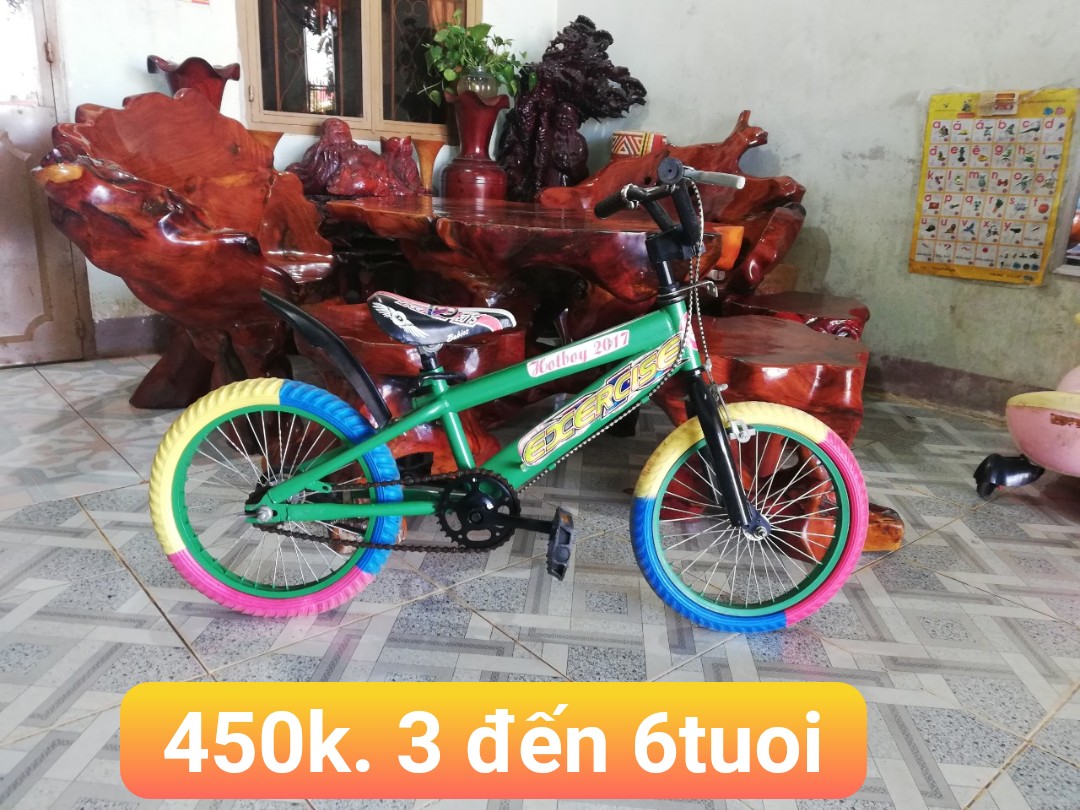 CÁC MẪU XE ĐẠP THANH LÝ