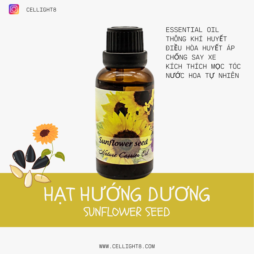 Dầu nền hạt hướng dương - Sunflower carrier oil