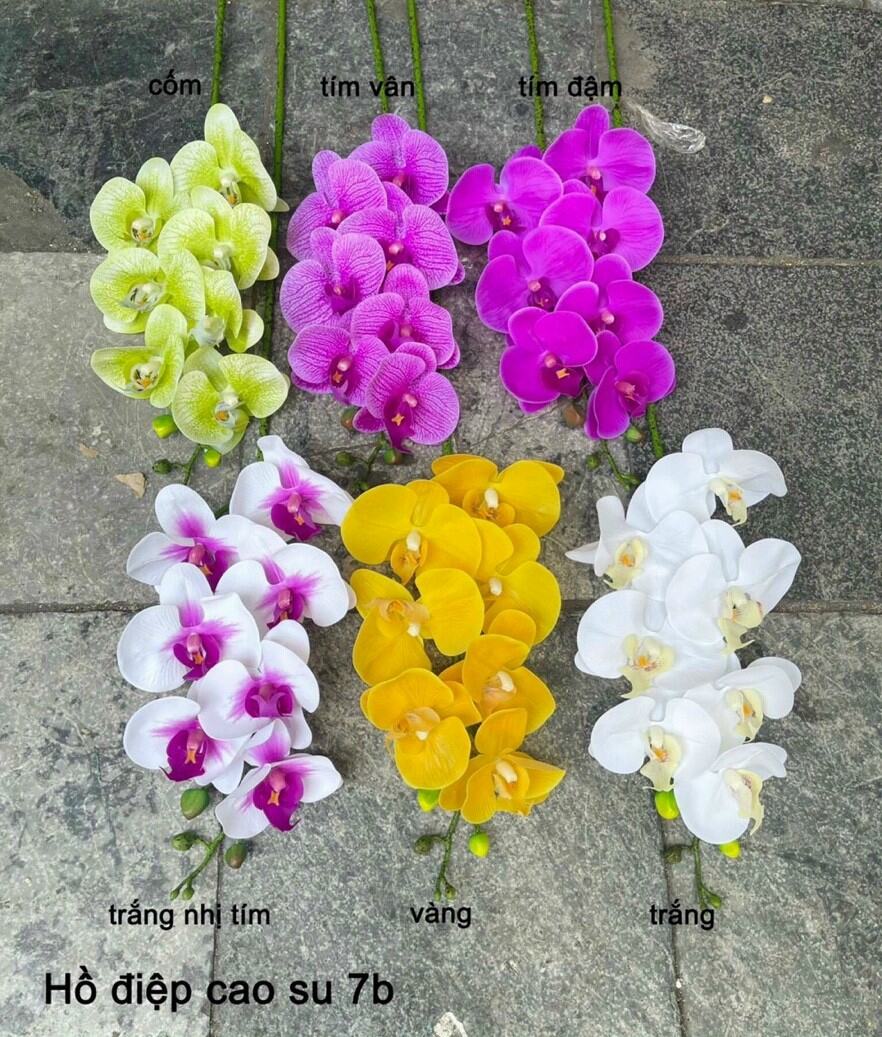 Hoa giả- lan hồ điệp cao su 7 bông - trang trí nhà cửa