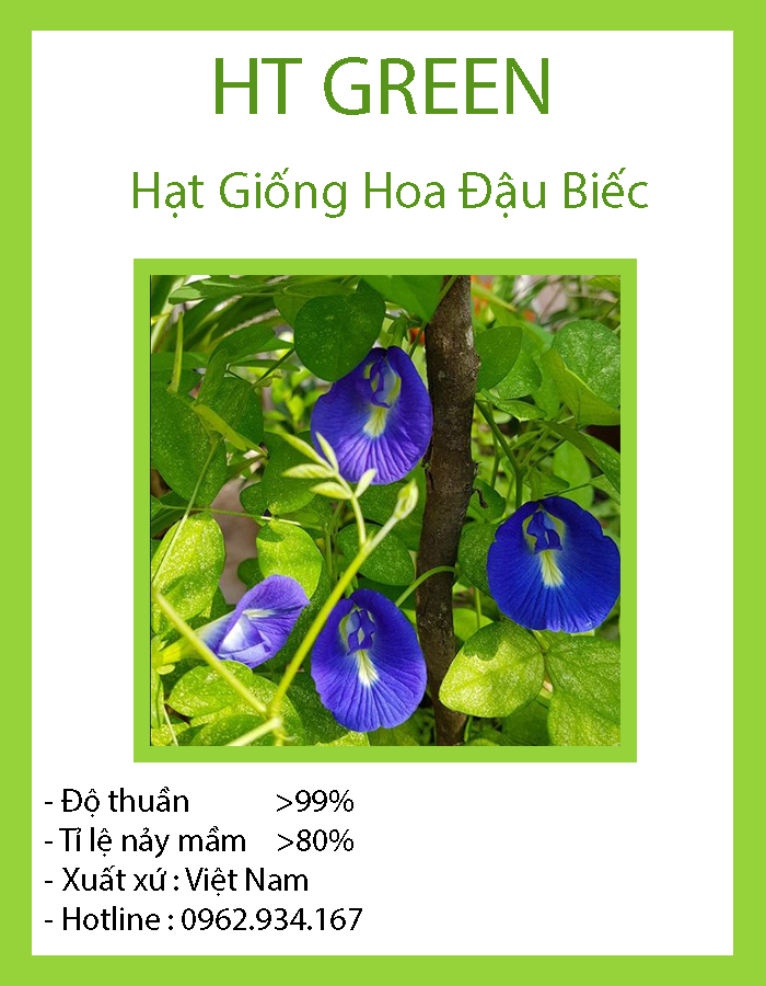Hạt Giống Hoa Đậu Biếc Gói 10 Hạt