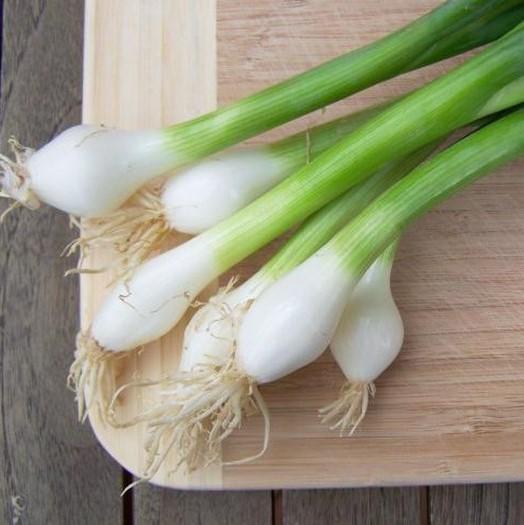 Hạt giống hành lá gốc trắng gói 2gr - hạt giống phú nông