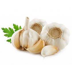 Rau gia vị đà lat - củ tỏi 100g
