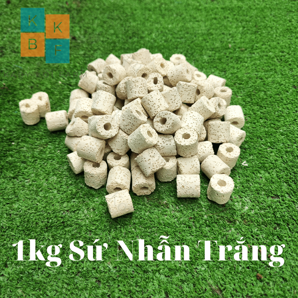 Sứ lọc nhẫn trắng , sứ lỗ lọc nước hồ cá 1kg