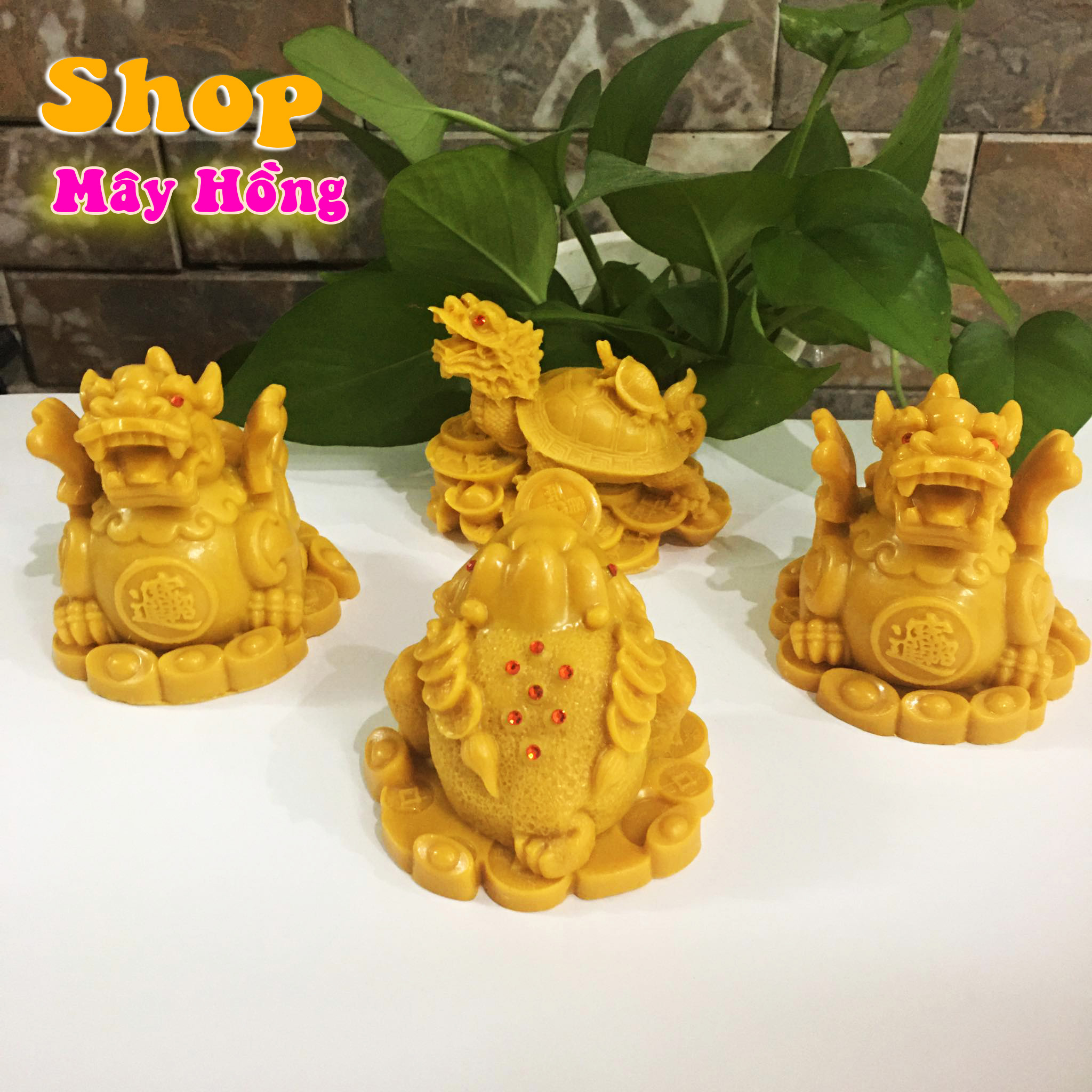 Combo cặp tỳ hưu và long quy phong thủy và cóc ngậm tiền màu vàng mang tài lộc