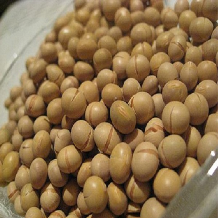 1KG ĐẬU NÀNH SẤY LOẠI GIÒN NGON, BỔ DƯỠNG