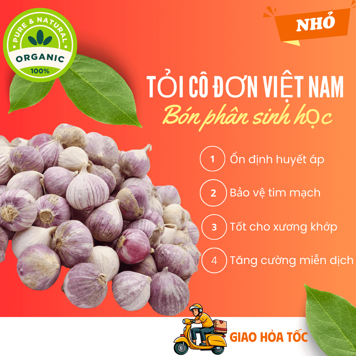 3kg Tỏi cô đơn Việt Nam, tỏi mồ côi thơm ngon, tỏi 1 nhánh chắc củ loại NHỎ không hóa chất tăng trưởng, tốt cho sức khỏe - thương hiệu VỢ CHỒNG TÔI